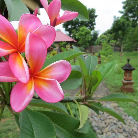 Tegal Sari, Pemuteran- North Bali Hotel Екстериор снимка