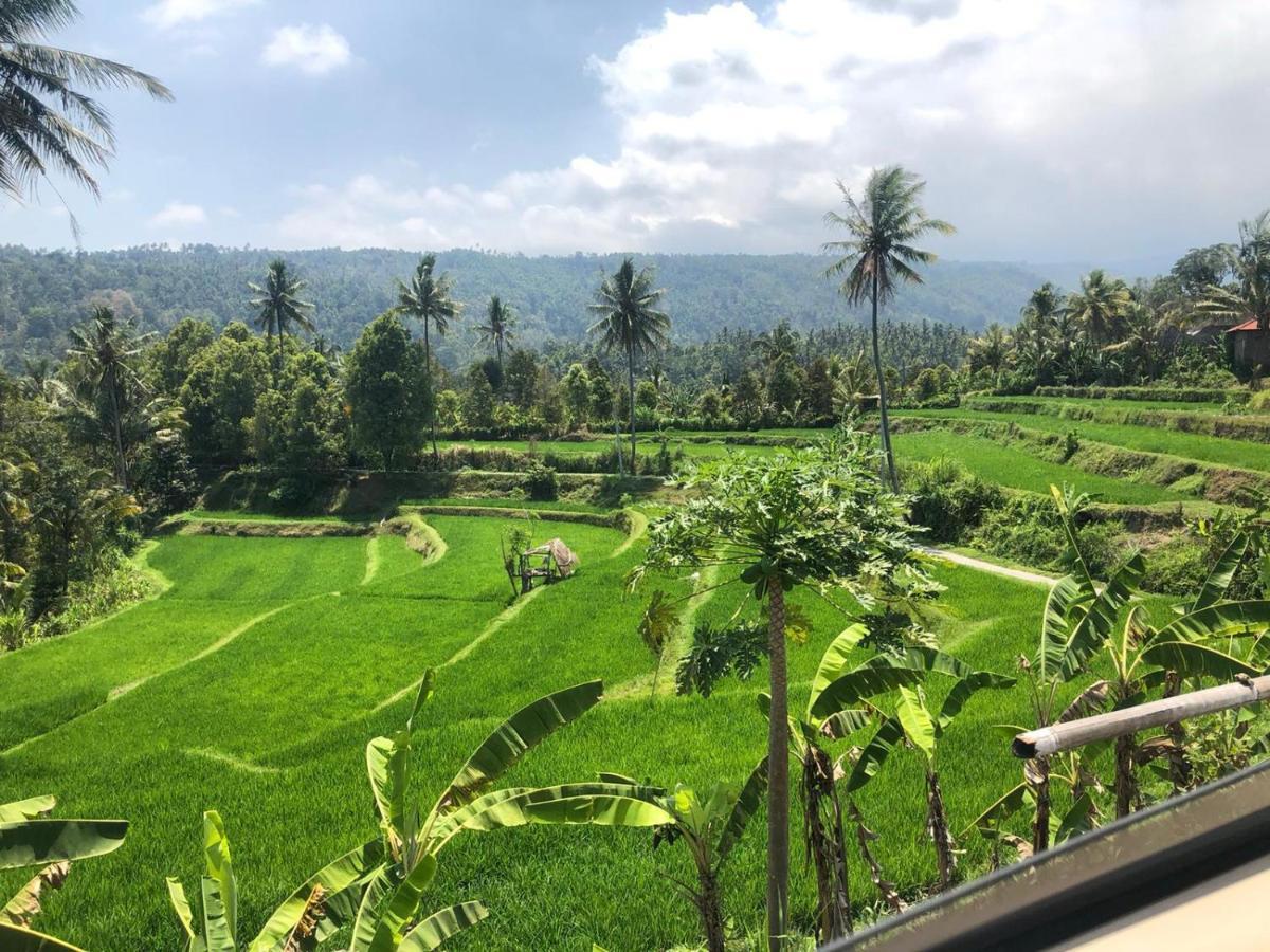 Tegal Sari, Pemuteran- North Bali Hotel Екстериор снимка