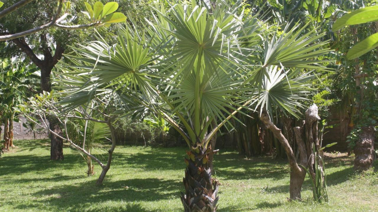 Tegal Sari, Pemuteran- North Bali Hotel Екстериор снимка