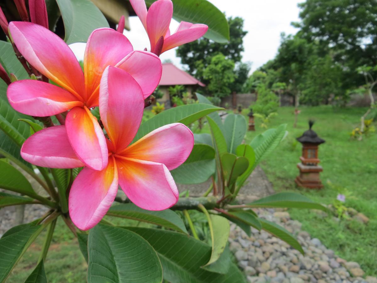 Tegal Sari, Pemuteran- North Bali Hotel Екстериор снимка