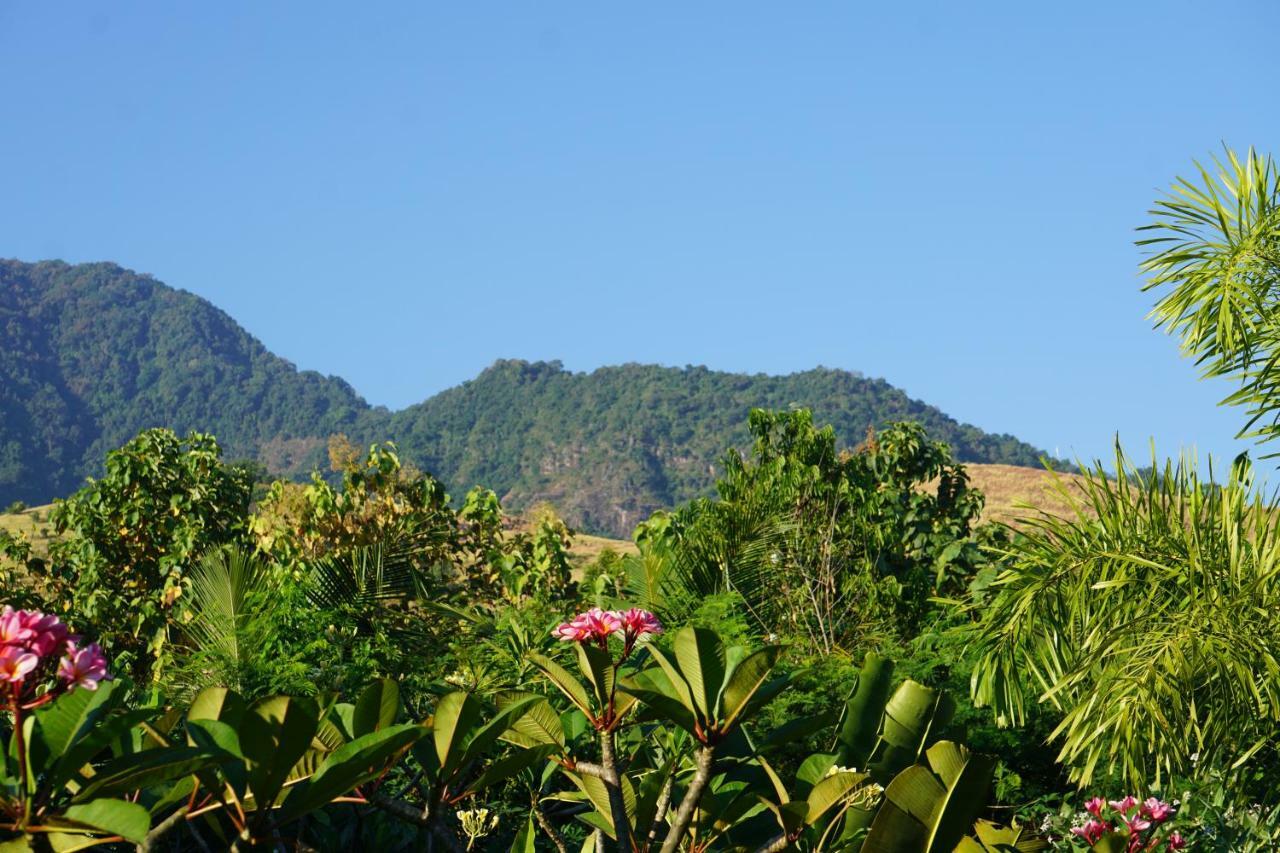 Tegal Sari, Pemuteran- North Bali Hotel Екстериор снимка