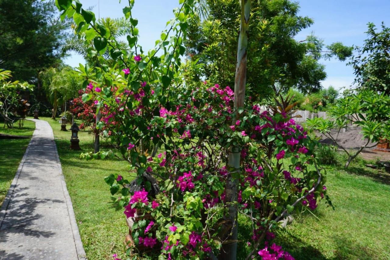 Tegal Sari, Pemuteran- North Bali Hotel Екстериор снимка